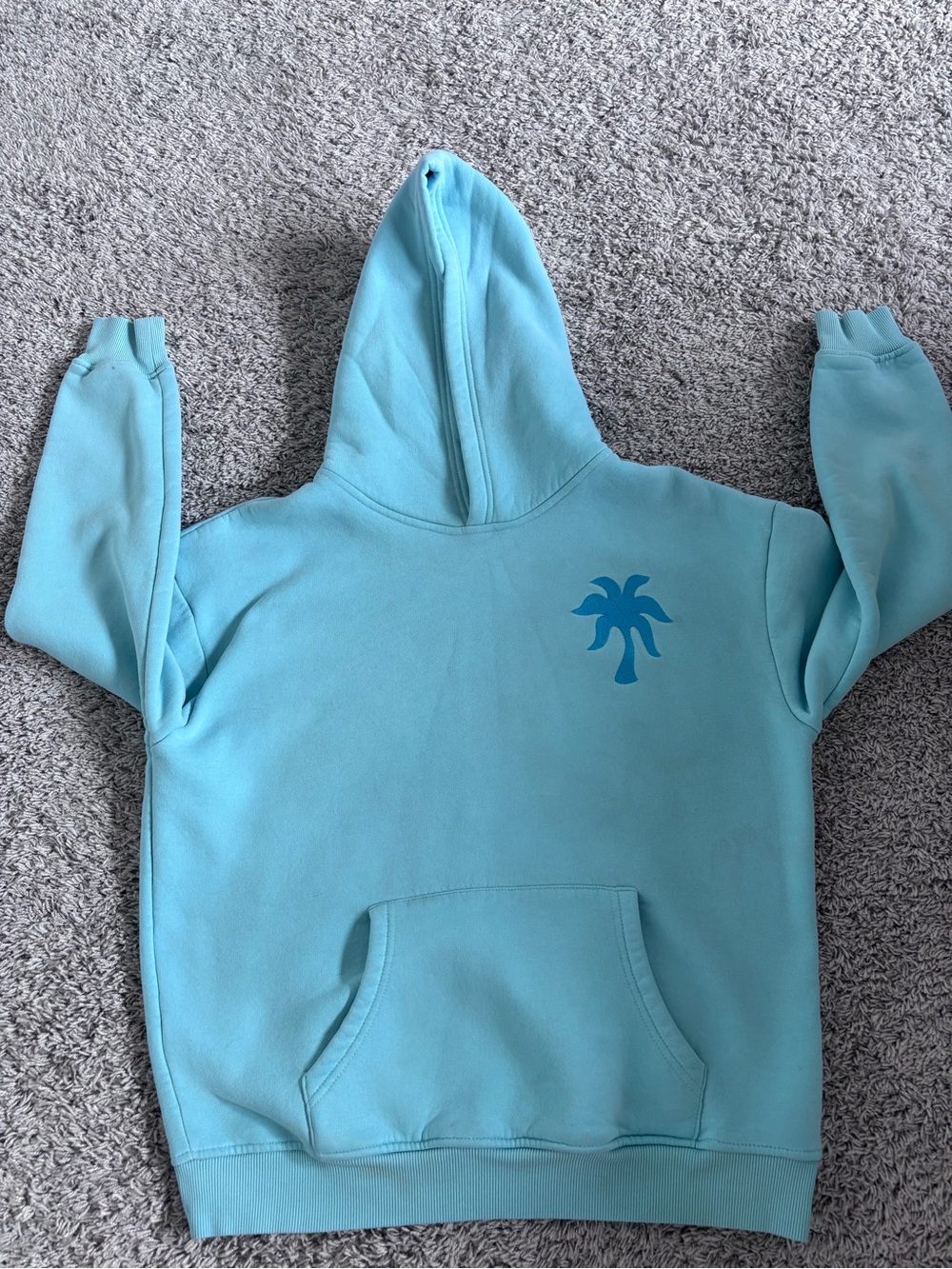 Teal Pink Palm Puff Hoodie